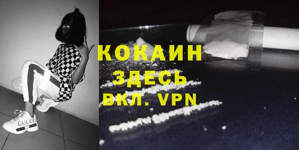 хмурый Аркадак