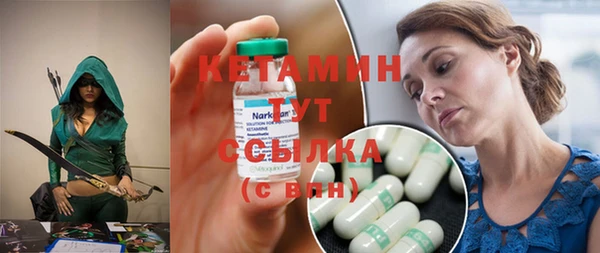 хмурый Аркадак