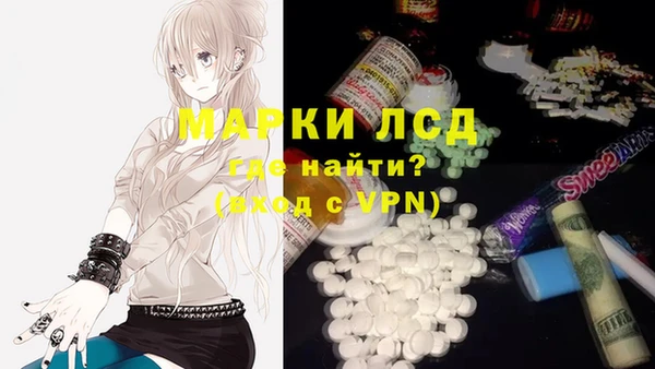 хмурый Аркадак