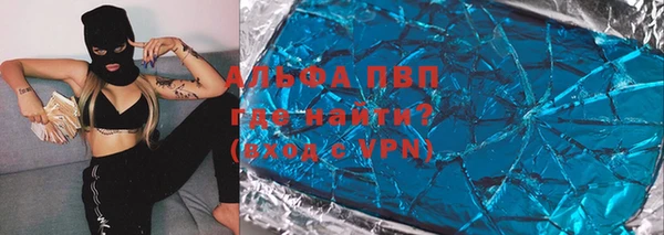 хмурый Аркадак