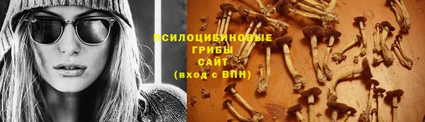 амф Арсеньев
