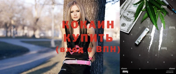 хмурый Аркадак